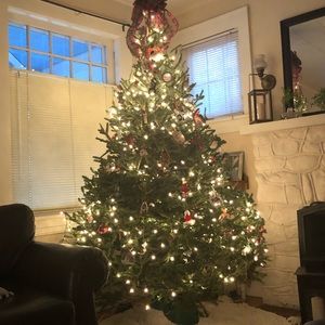 Meet your Posher, Nancy